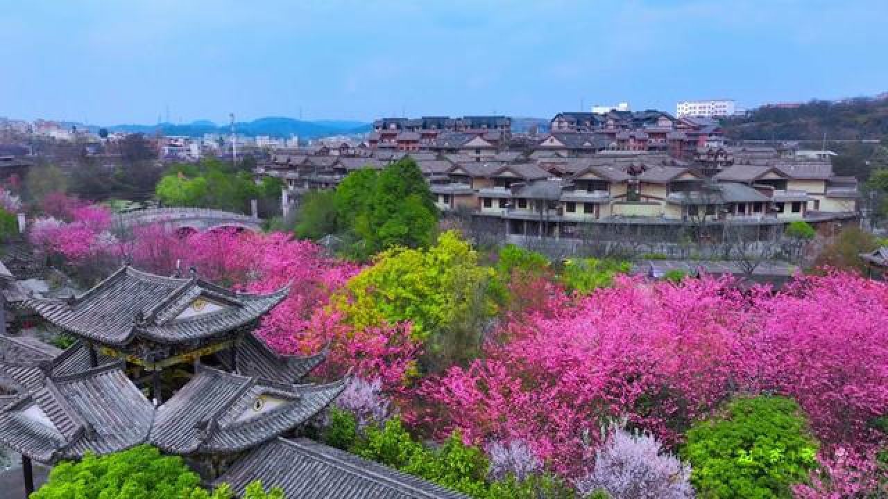 四季轮回,一个新的开始 窗外的春色正浓 2024年3月15日水西古城#水西