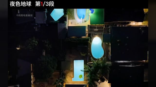 1184黑熊半夜蹭泳池,浣熊半夜偷东西纪录片