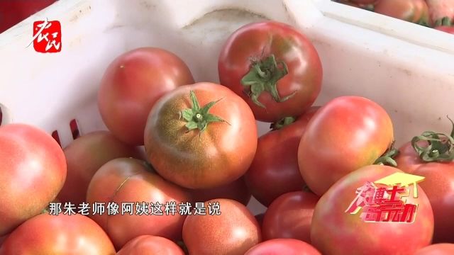 科技助农 | 采摘园定茬口大有学问