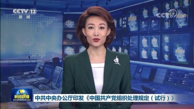 中共中央办公厅印发《中国共产党组织处理规定(试行)》