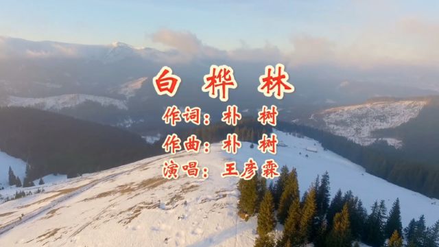 白桦林 作词:朴树 作曲:朴树 演唱:王彦霖