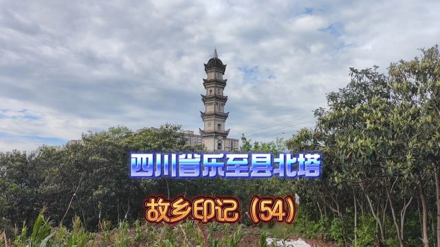 四川省乐至县北塔:故乡印记(54)