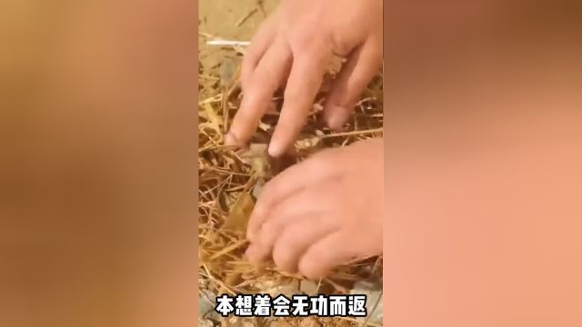 工匠赶海收获一块天然琥珀,用黄铜做材料定制成戒指,质感很唯美#手工制作#珠宝首饰#琥珀戒指#手作饰品#手工艺