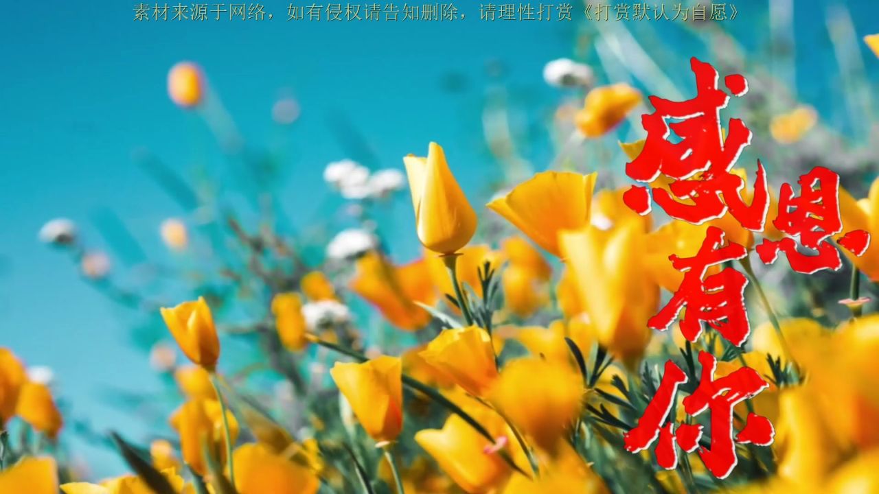 昨晚我梦见了你,你还好吗?