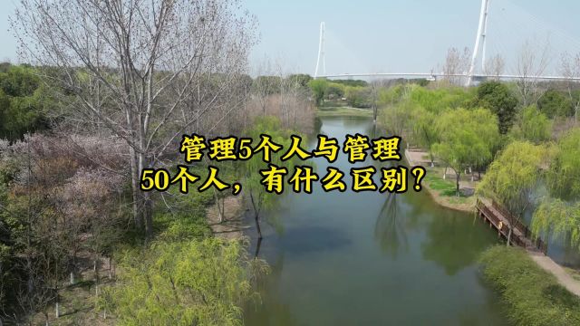 管理5个人与管理50个人,有什么区别?