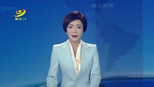 阳江市台商协会成立二十五周年暨第七届理监事就职大会举行 40