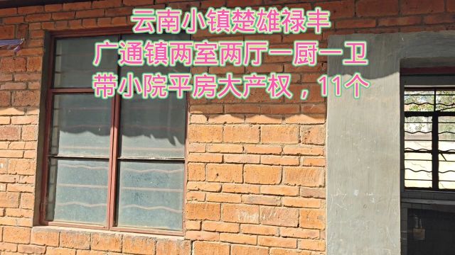 云南小镇楚雄禄丰广通镇两室两厅一厨一卫带小院平房大产权,11个