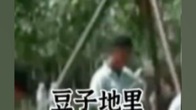 豆子地发现的无头女尸,凶手真是太变态了4