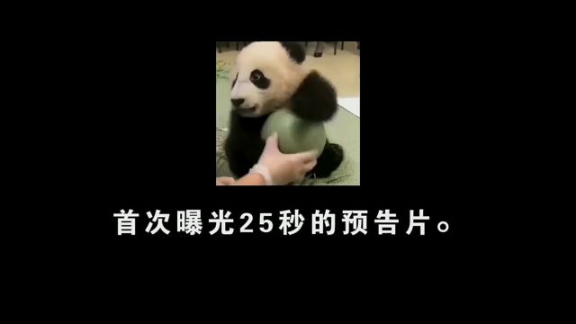 潘粤明王鸥新剧,将在央视一台黄金档播出