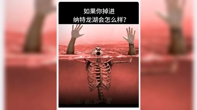 如果你掉进纳特龙湖会怎么样?