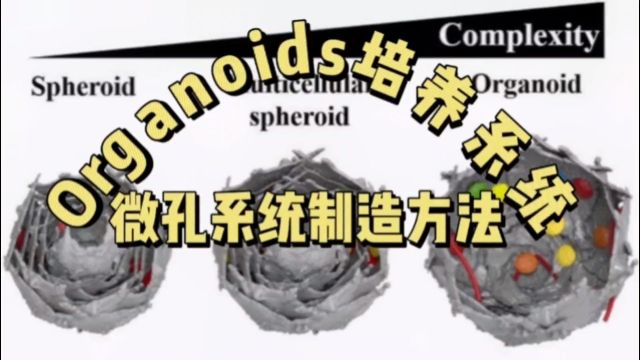 Organoids微孔培养系统制造方法