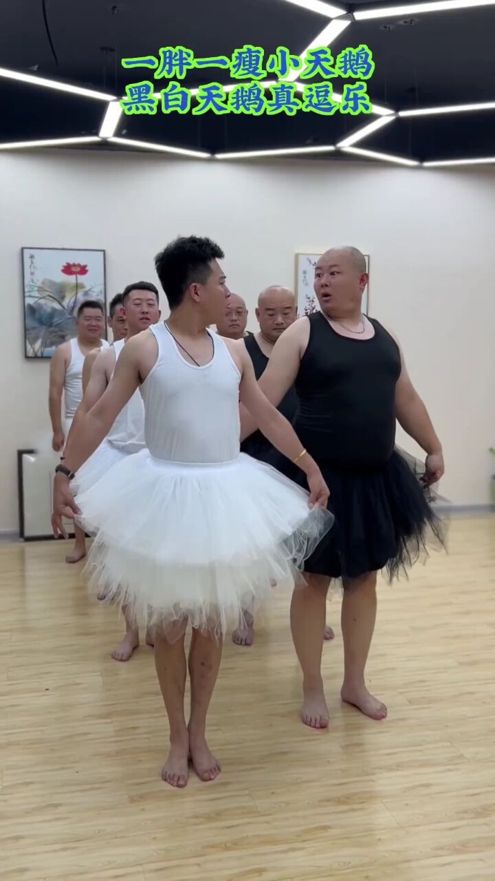 黑天鹅#白天鹅#黑天鹅 #斗鹅舞 山东男人斗鹅舞蹈可不可爱?