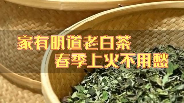 心灵壹号:家有明道老白茶,春季上火不用愁!