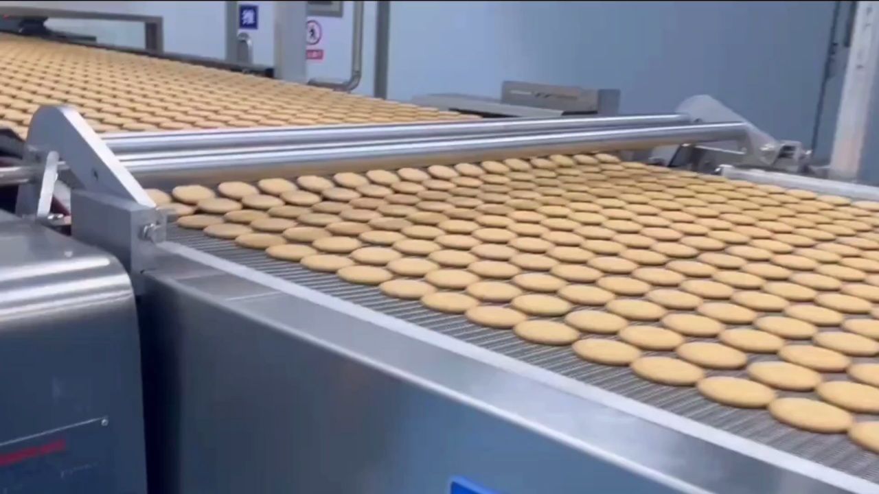 全自动饼干生产线设备加工酥性饼干 韧性饼干 薄脆饼干 曲奇饼干等-饼
