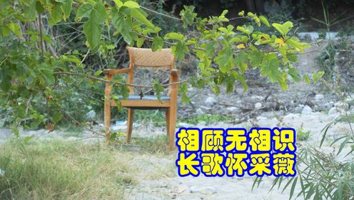 品鉴唐诗 相顾无相识 长歌怀采薇 王绩 《野望》