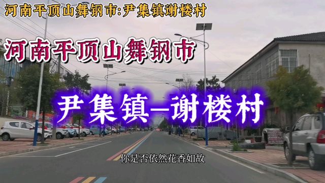 河南平顶山舞钢市:尹集镇谢楼村!