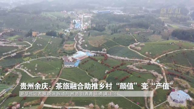 贵州余庆:茶旅融合助推乡村“颜值”变“产值”