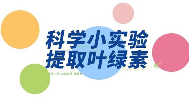 科学小实验提取叶绿素