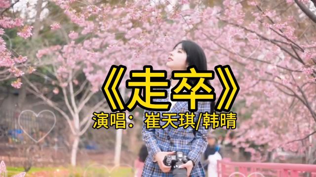 《走卒》崔天琪/韩晴演唱版本歌曲,女声低音和女声戏腔,两种声音感受不同的感觉