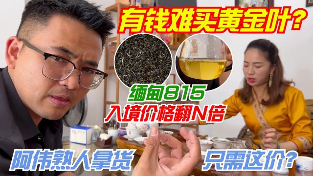 有钱难买黄金叶?缅甸815入境价格翻N倍!阿伟熟人拿货只需这价?