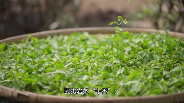 武夷岩茶“十香”:品过五种才算入门,你入门了吗?