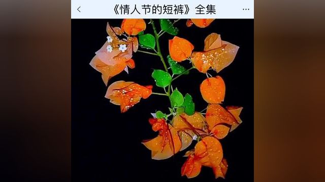 《情人节的短裤》点击下方查看后续精彩内容