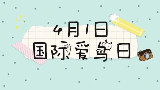 国际爱鸟日 | 爱鸟护鸟,我们在行动!