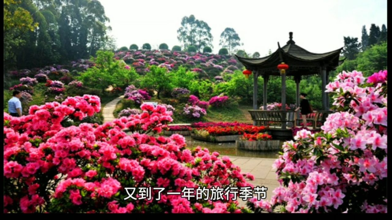 成都花舞人间,踏青胜地,成都春天开始的地方