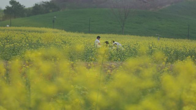 义乌植物园公园壹号入口