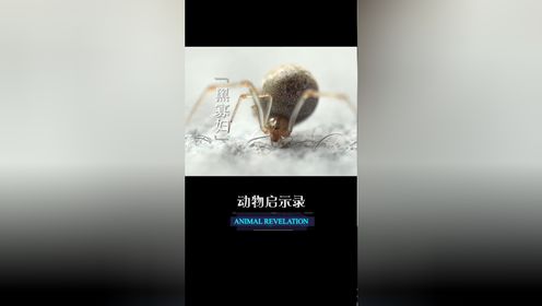 02无良保姆,犹如生活的定时炸弹0202