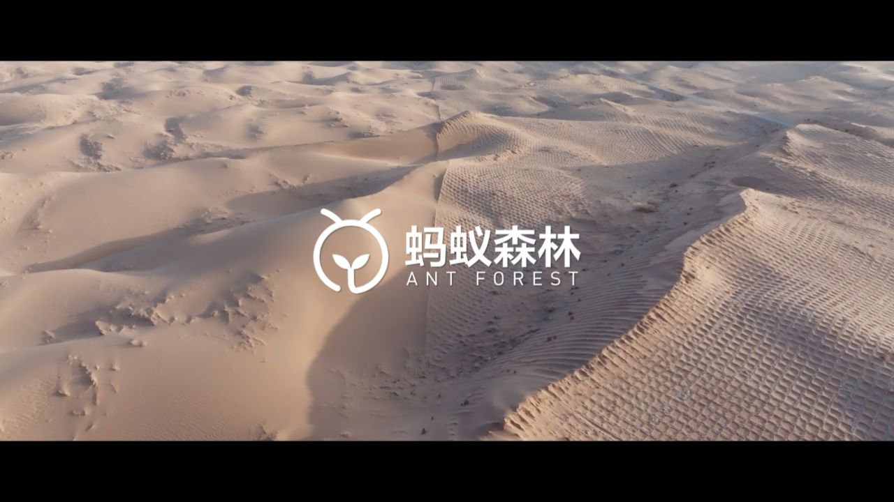 蚂蚁森林 甘肃武威万人携手为沙漠织毛衣
