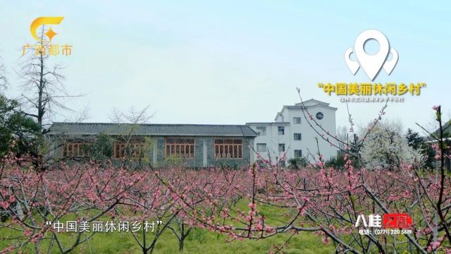 专题|平安喜乐 桂北明珠——桂林市灵川县海洋乡小平乐村