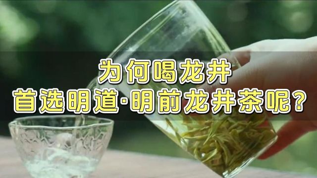 心灵壹号:为何喝龙井,首选明道ⷦ˜Ž前龙井茶呢?