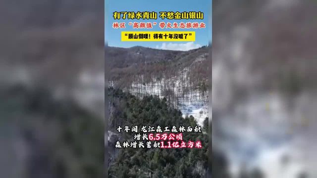 有了绿水青山不愁金山银山.素材来源:龙江森工集团融媒体中心