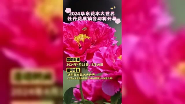 2024华东花木大世界牡丹花展销会即将开幕!