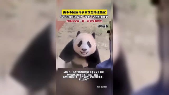 姜爷爷回应母亲去世坚持送福宝 虽然心情很沉痛 但“福宝”之行也很重要 给福宝留言:我一定会来看你的