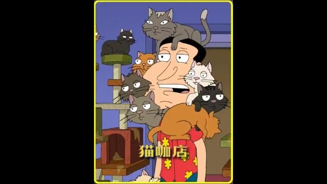 恶搞之家阿的猫咖店 #动画 #动漫 #恶搞之家