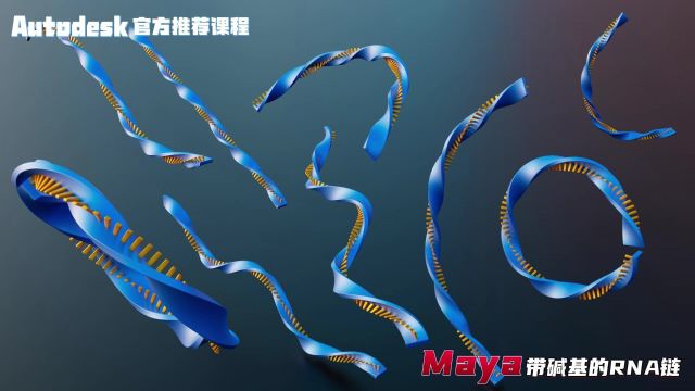 如何用maya软件做带碱基的RNA链(Maya软件)【宋元元博主】