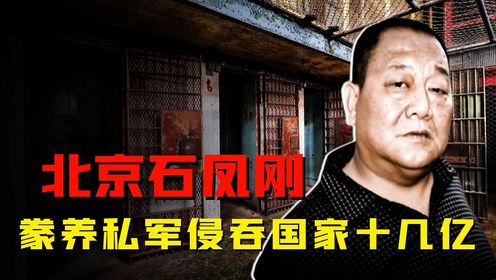 豢养私军围殴军人,侵占国家十几亿资产,北京最大黑老大石凤刚为何如此嚣张?_高清1080P在线观看平台_腾讯视频