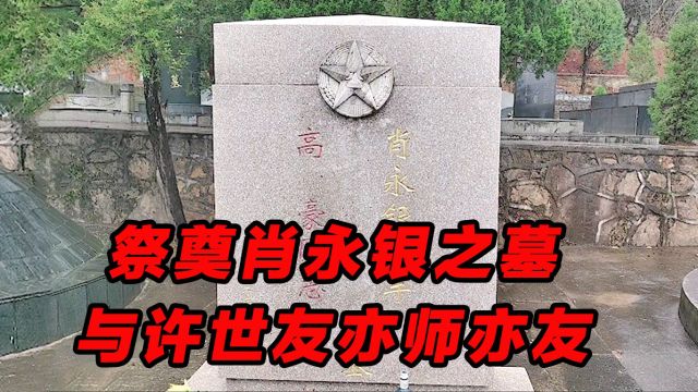 祭奠肖永银将军之墓,与许世友亦师亦友,亦父亦兄