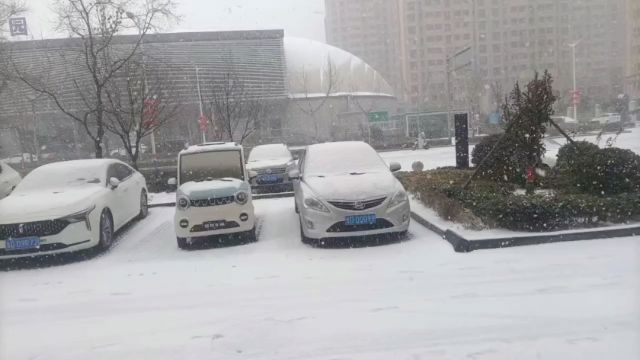 谁还记得冬天下雪的日子