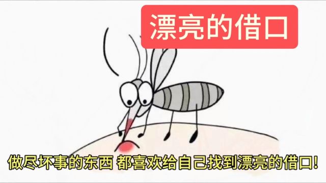 漂亮的借口