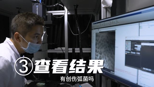 钓个鱼洗个虾,竟弄得自己缺胳膊少腿?看生物学大牛带你解密“创伤弧菌” 致敬