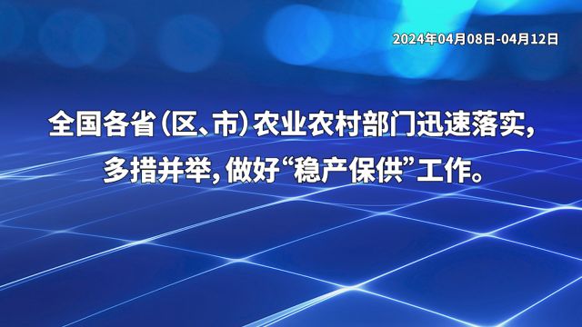 重庆市确保全年大豆玉米带状复合种植超50万亩