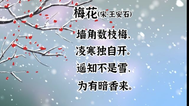 古诗词学习第44首—冬天篇—《梅花》