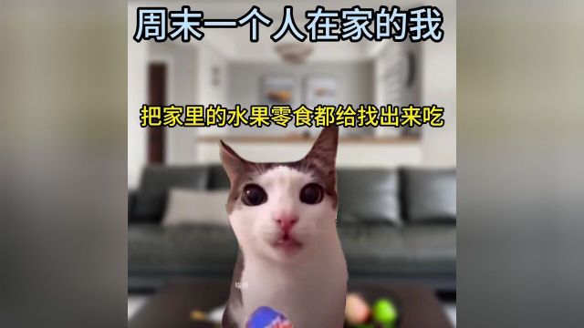 #人间真实#动物的迷惑行为#猫咪表情包#周末