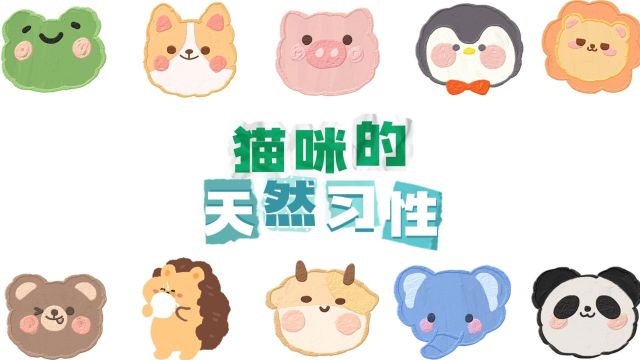 猫咪的天然习性,你知道几个?