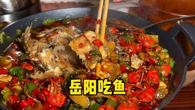 用周末去岳阳吃鱼是一种什么样的体验!#岳阳美食 #湘菜 #岳阳旅游攻略