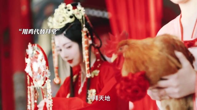 大婚之日他为了羞辱她安排鸡和她拜堂,还灭了她全家,再次重生她退婚并给了他一封休书,气的他对她又爱又恨!