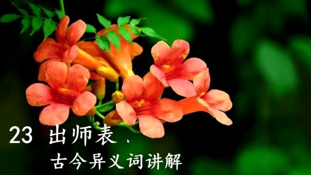 一起学语文:九年级语文下册《出师表》古今异义词